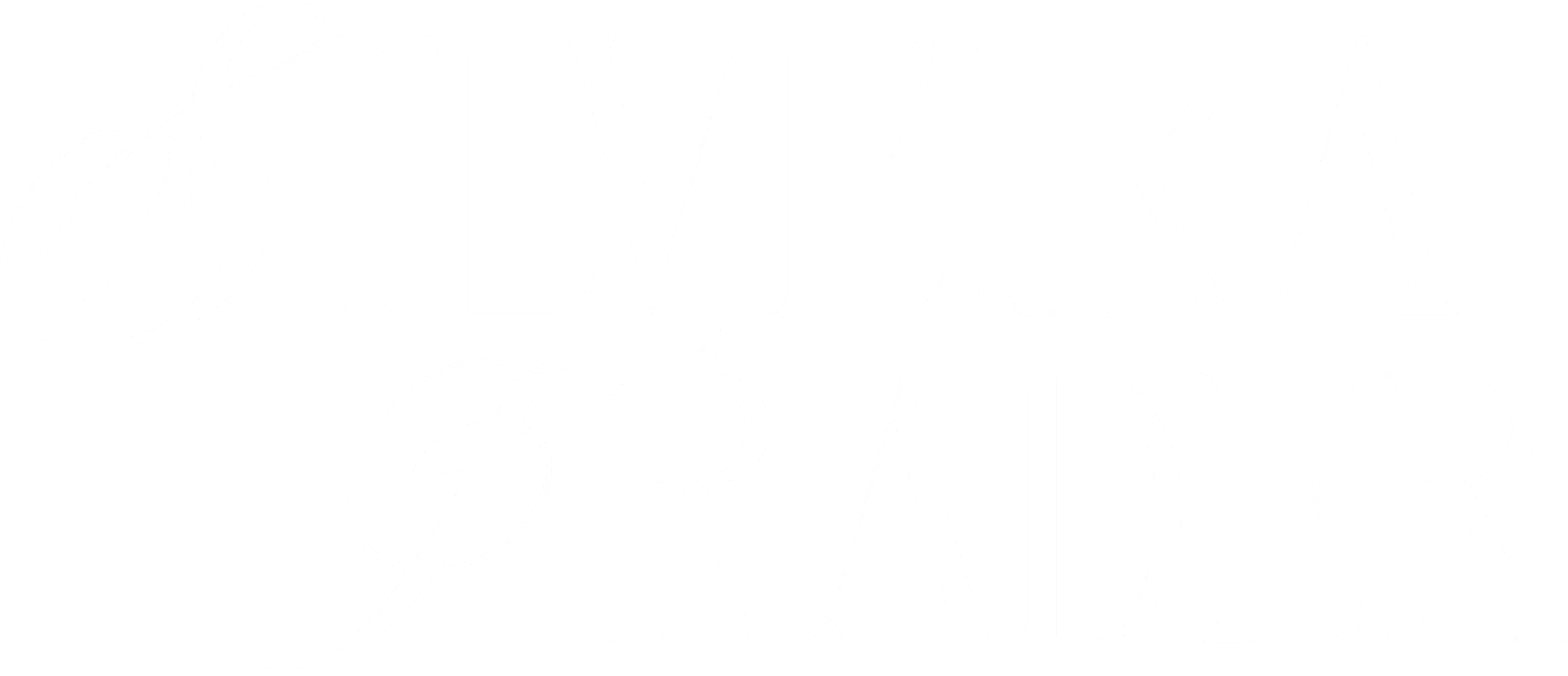 Silveira Trader – Links úteis